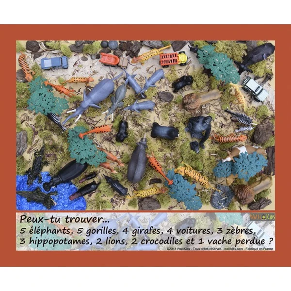 Lot 2 Jeux cherche et trouve - Amazonie et safari Lot 2 Jeux Cherche Et Trouve - Amazonie Et Safari -KIDEA BOUTIQUE jeu cherche et trouve foret 2