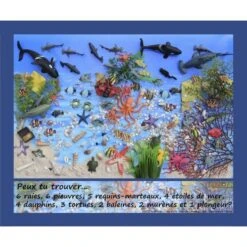 Pack 2 Jeux Cherche Et Trouve - Océan Et Forêt
