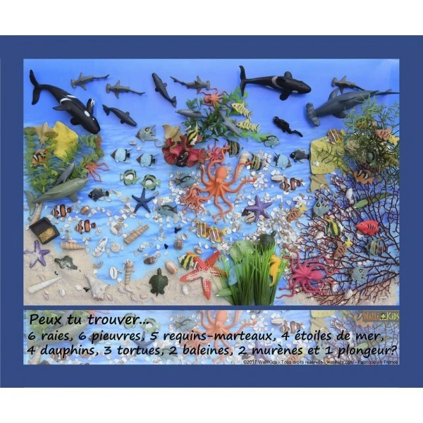 Pack 2 jeux cherche et trouve - Océan et Forêt Pack 2 Jeux Cherche Et Trouve - Océan Et Forêt -KIDEA BOUTIQUE jeu cherche et trouve ocean